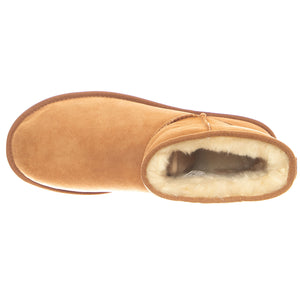 Mini Classic Boots - Chestnut - Stivaletti alla Caviglia Uomo Marroni UGMCLMCN1002072M . UGG 