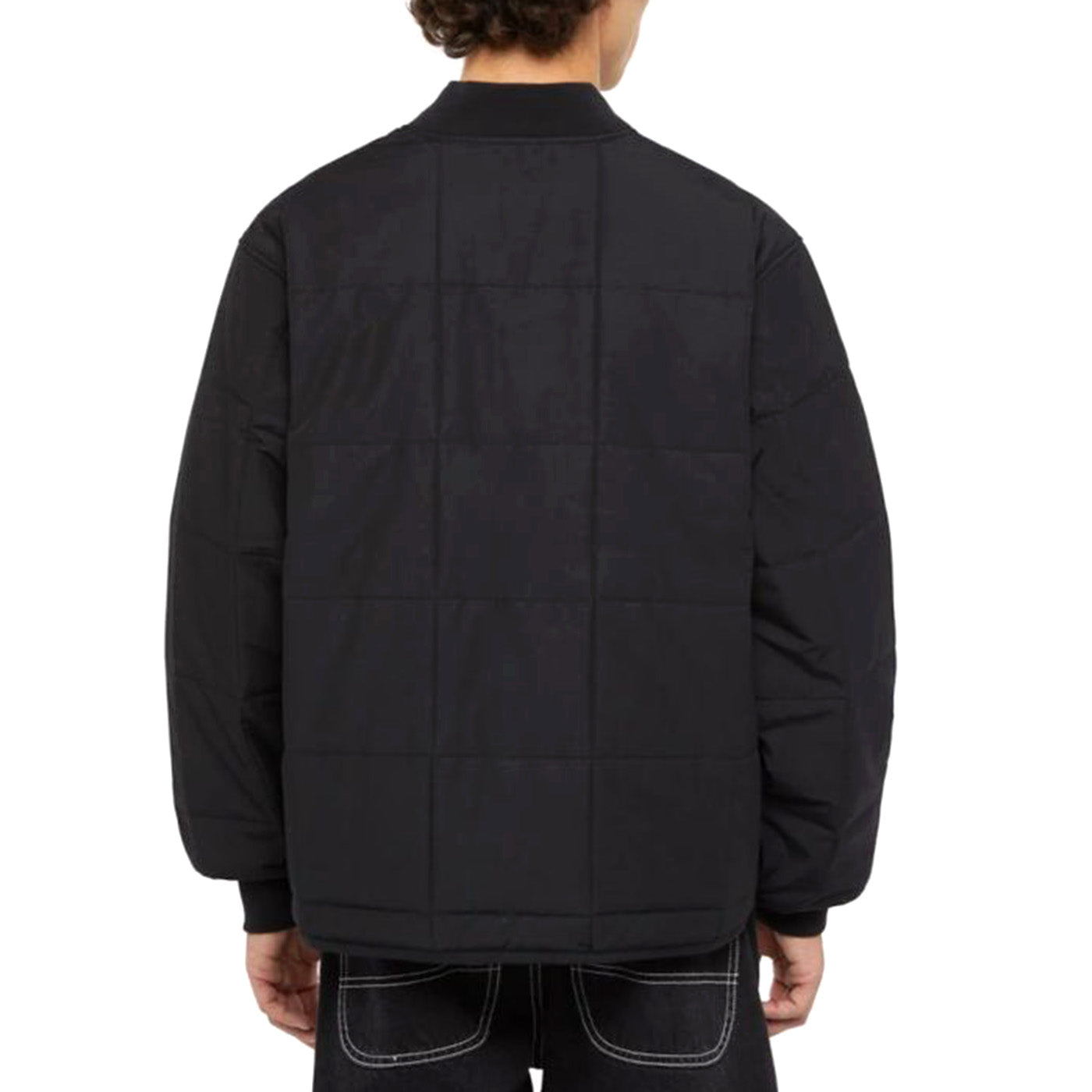 GARDINER LINER JACKET BLACK - Giacca Uomo Nera DK0A4Z35BLK1 . DICKIES 