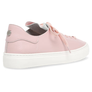 Dorey-Sm Pink - Scarpe Stringate Profilo Basso Donna Rosa SMPDOREY-SM-PIN . STEVE MADDEN 