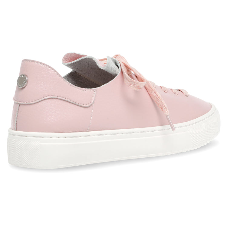 Dorey-Sm Pink - Scarpe Stringate Profilo Basso Donna Rosa SMPDOREY-SM-PIN . STEVE MADDEN 
