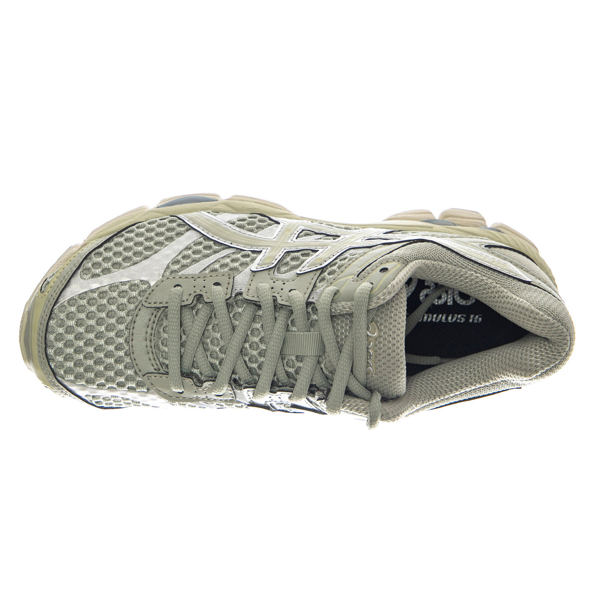 Gel-Cumulus 16 Dried Leaf Green/Dried Leaf Green -- Scarpe Uomo Verdi 1203A733-300 . ASICS 
