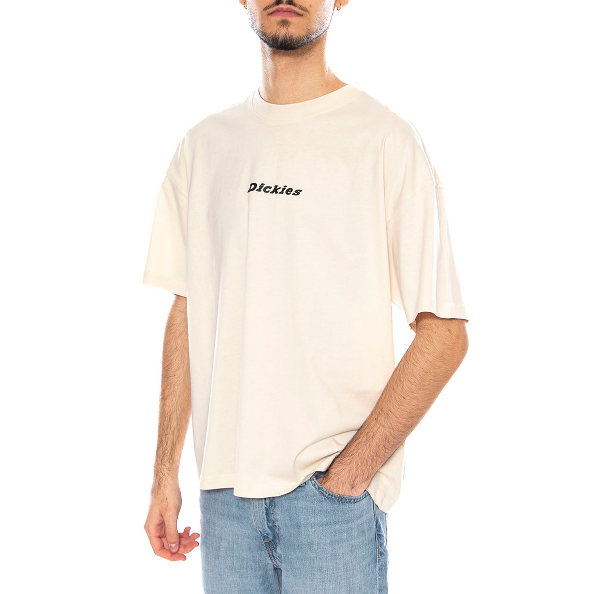 Enterprise SS Maglietta -- Maglietta Uomo Whitcap Gray DK0A4YRNF901 . DICKIES 