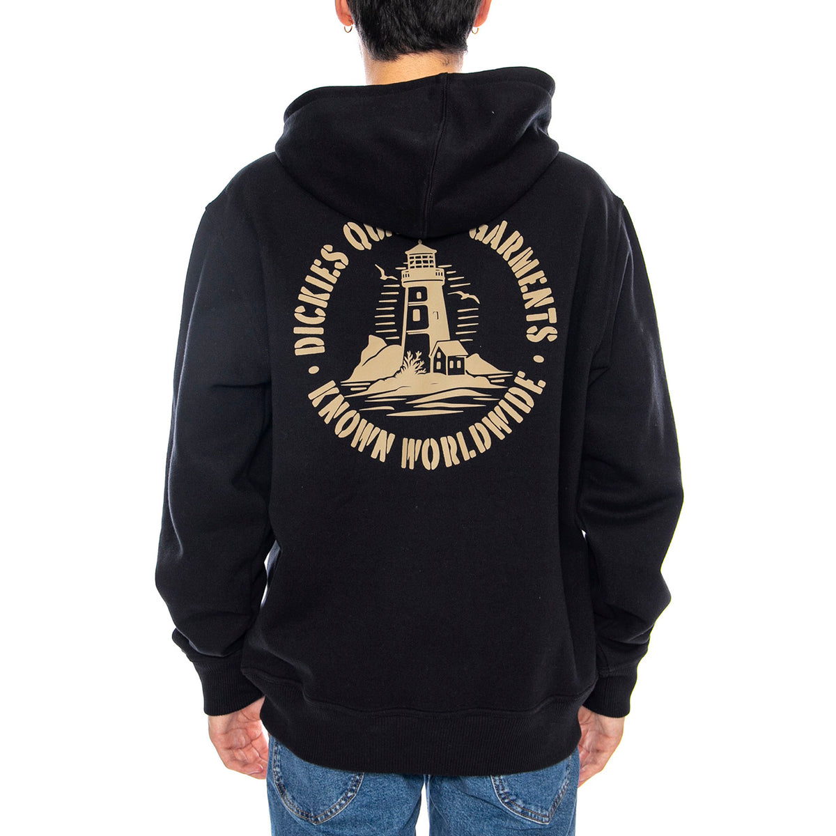 Parrotsville Hoodie Black - Felpa con Cappuccio Uomo Nera DK0A87NRBLK1 . DICKIES 
