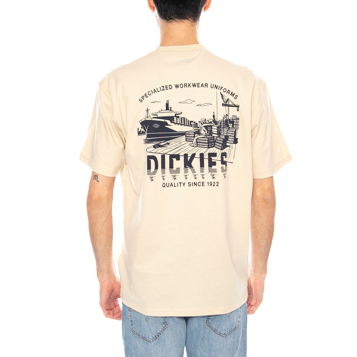 Pelham SS Maglietta -- Maglietta Uomo Beige (Wood Ash) DK0A87QJL171 . DICKIES 