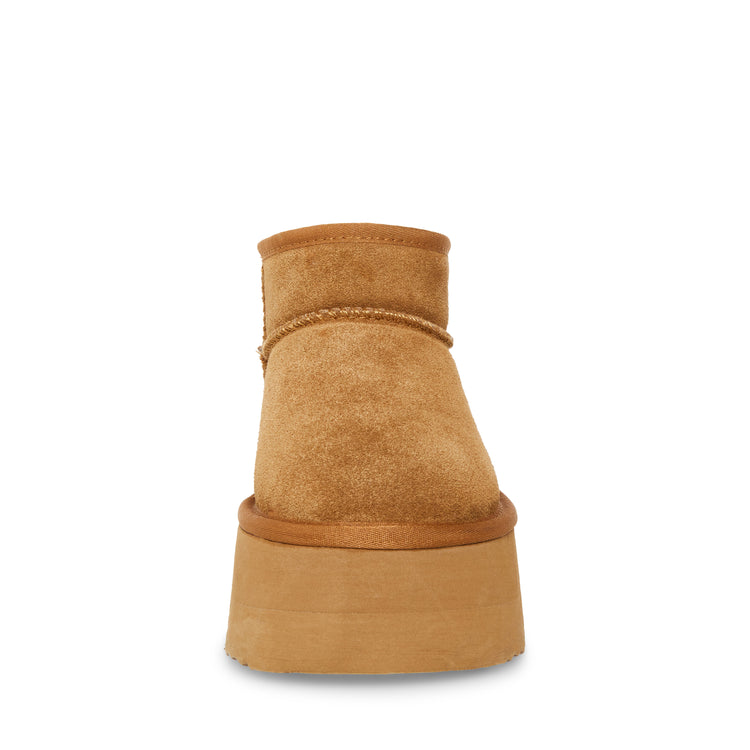 Campfire Tan Suede Tan - Stivali Donna Beige SMSCAMPFIRE 215 STEVE MADDEN 