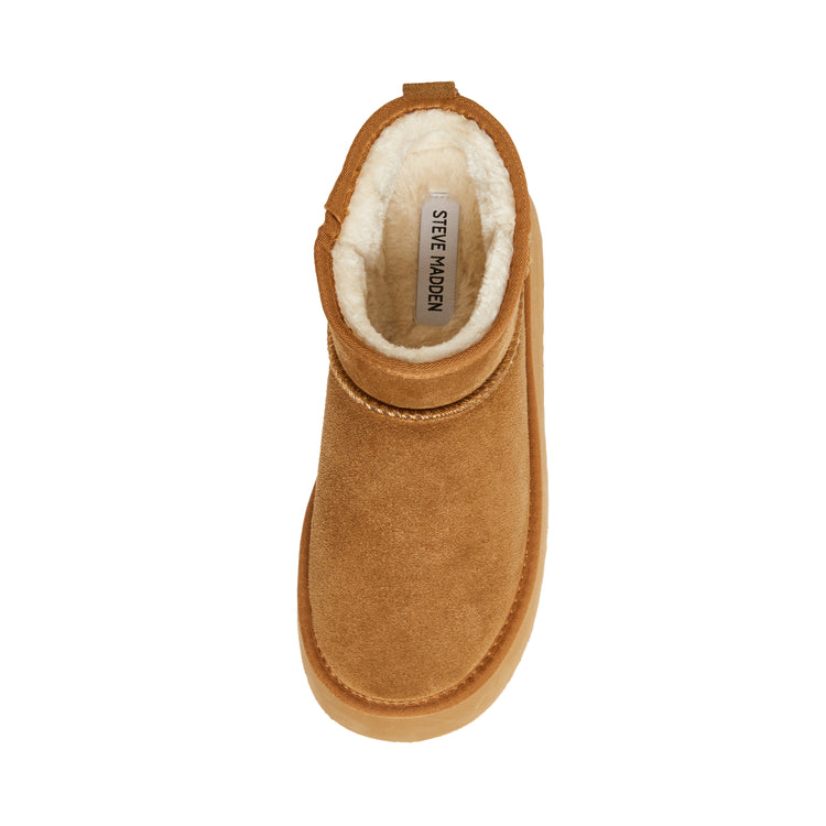 Campfire Tan Suede Tan - Stivali Donna Beige SMSCAMPFIRE 215 STEVE MADDEN 