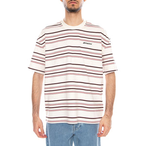 East Liberty Tee Stripe - Maglietta Girocollo Uomo Multicolore DK0A88GF C481 DICKIES 