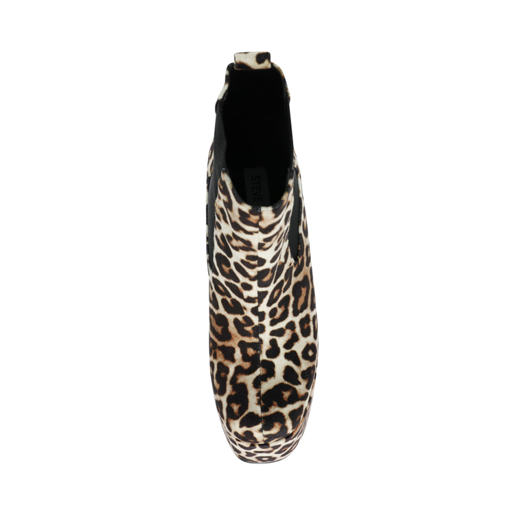 ARTESIAN LEO VELVET LEOPARD - Stivaletti Donna Leopardo SMSARTESIAN-LEO . STEVE MADDEN 