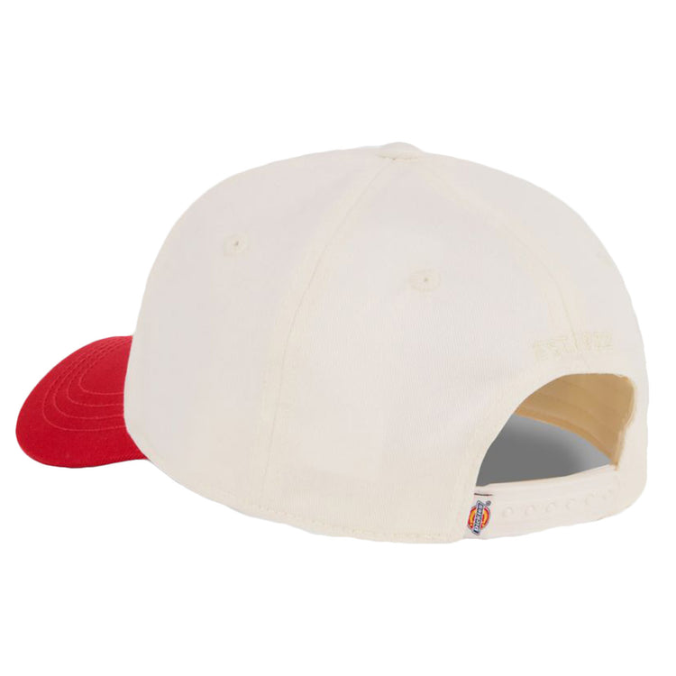 Hardwick 2 Tone Egret - Cappellino con Visiera Multicolore DK0A4Z6LC481 . DICKIES 
