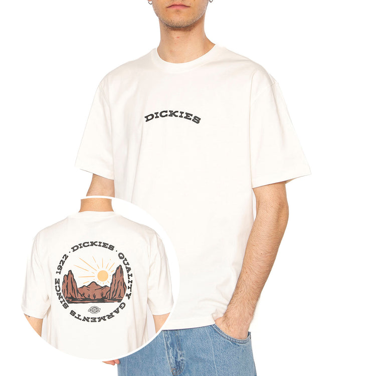 Dickies Outdoor SS Tee Egret - Maglietta Girocollo Uomo Beige DK0A4Z8PC481 . DICKIES 