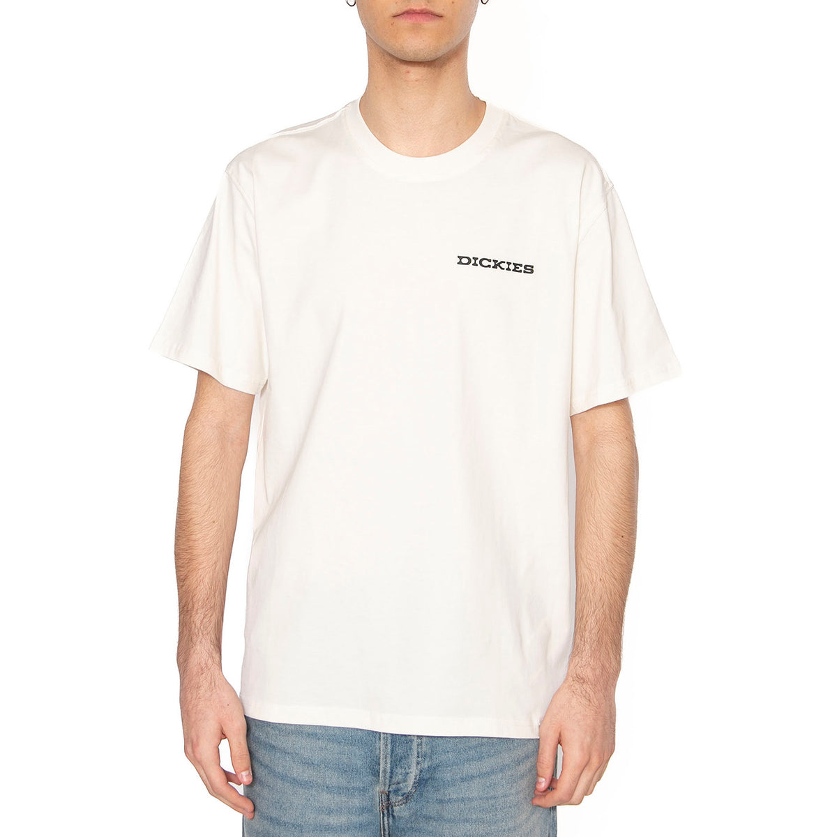 Landscape SS Tee Egret - Maglietta Girocollo Uomo Bianca DK0A4Z8VC481 . DICKIES 