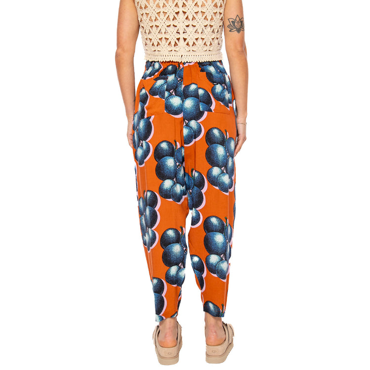 Blueberries Pant - Pantaloni Donna Muticolore 242000108-BWM . OBEY 