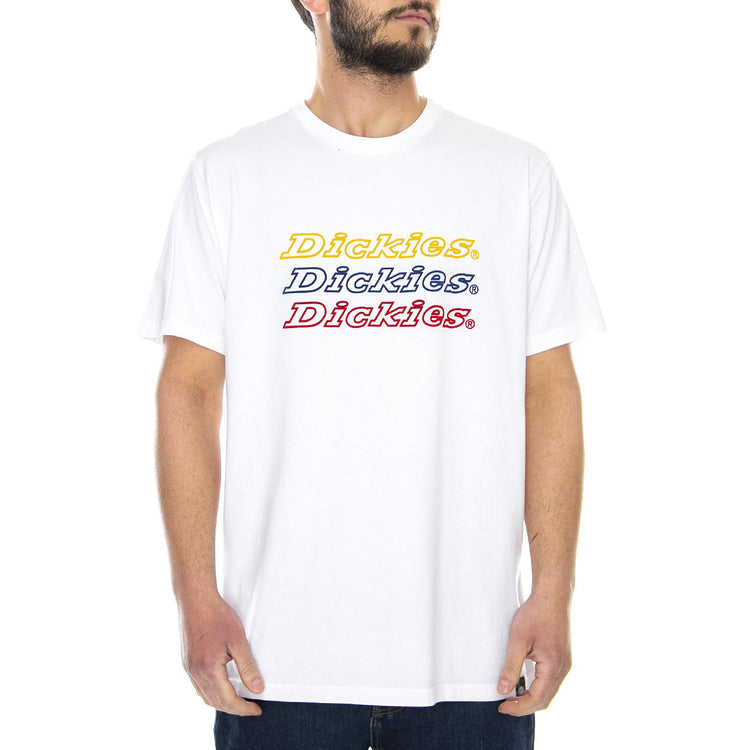  DK0A4TNR-WHX  DICKIES 