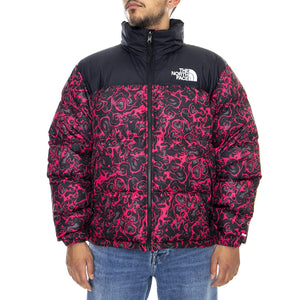  T93C8DF26  THE NORTH FACE 