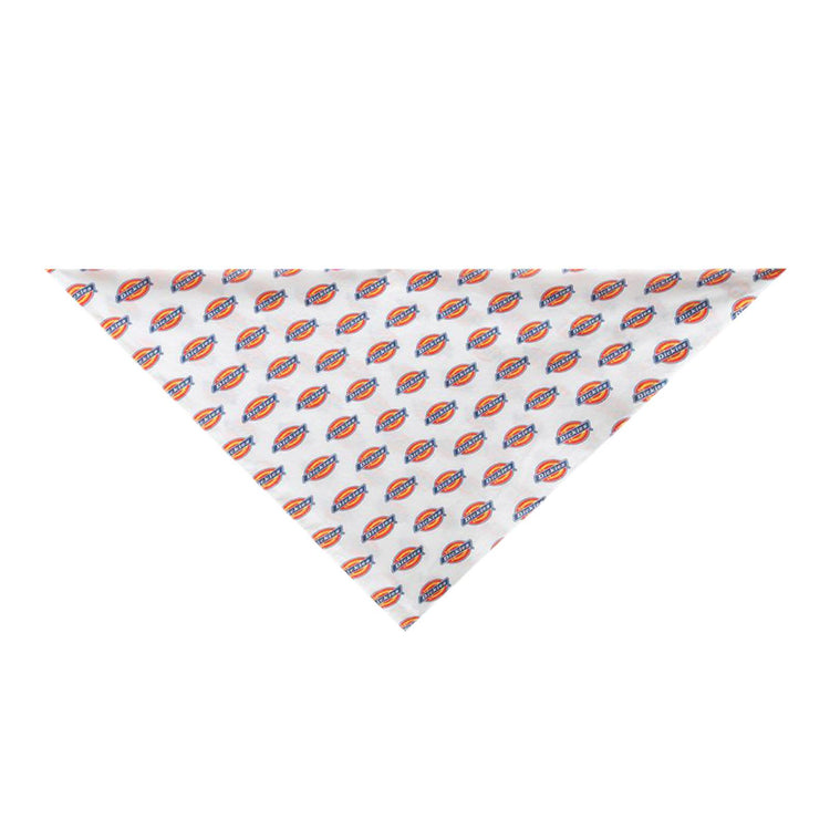  DK0A4XGFWHX1  DICKIES 