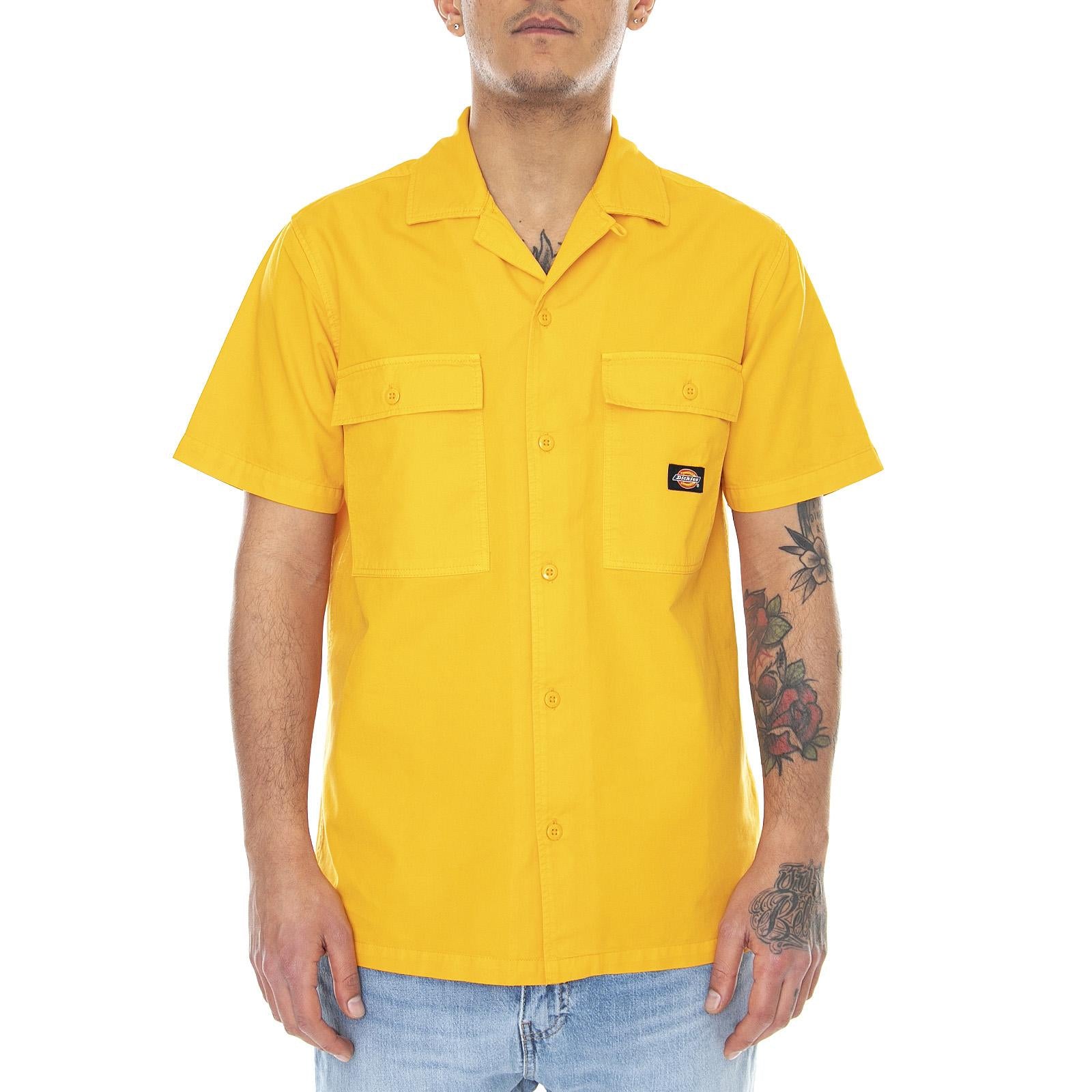  DK0A4X9ZB591  DICKIES 