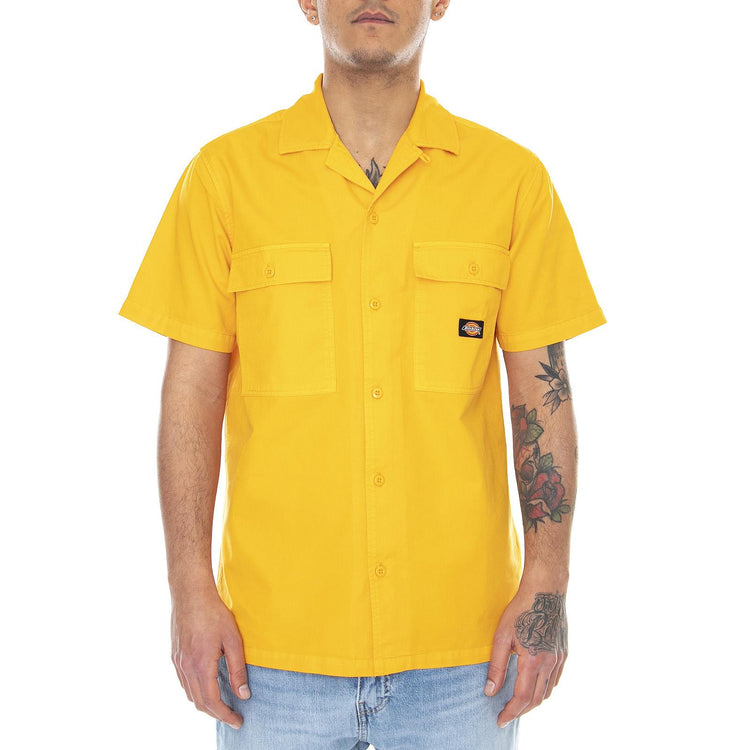  DK0A4X9ZB591  DICKIES 