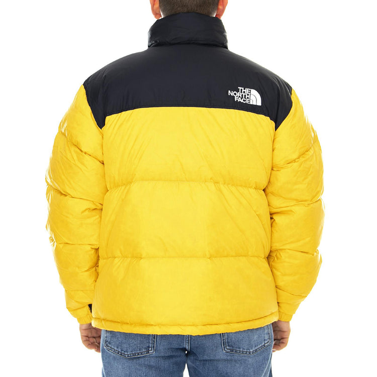  T93C8D70M  THE NORTH FACE 