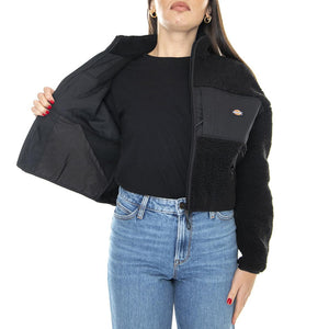  DK0A4XHNBLK1  DICKIES 