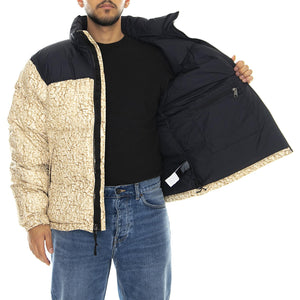  T93C8DF3X  THE NORTH FACE 