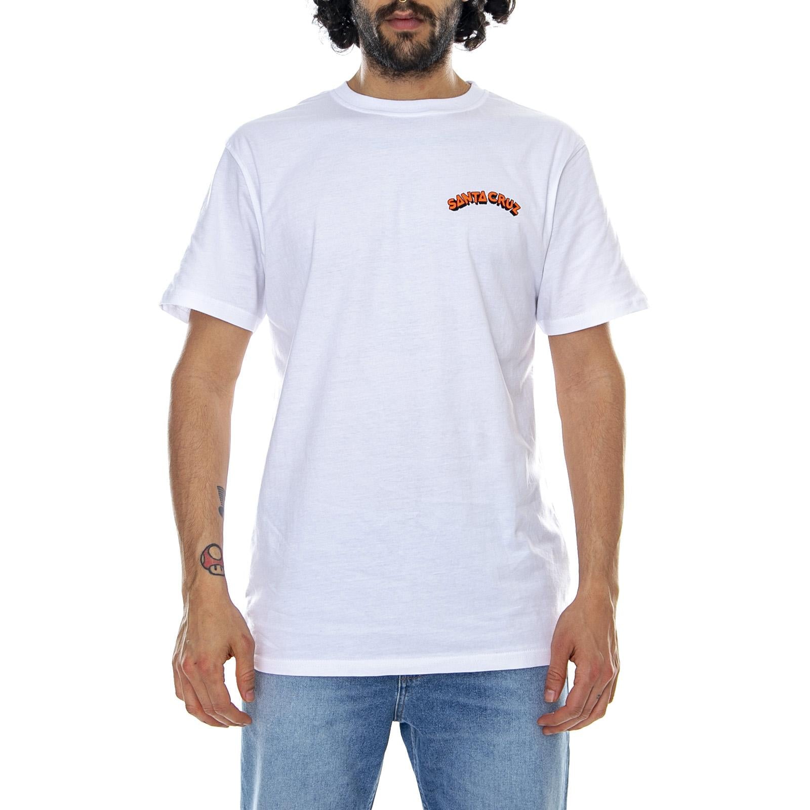  SCA-TEE-FCT  SANTA CRUZ 