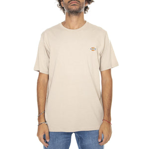  DK621578SS01  DICKIES 