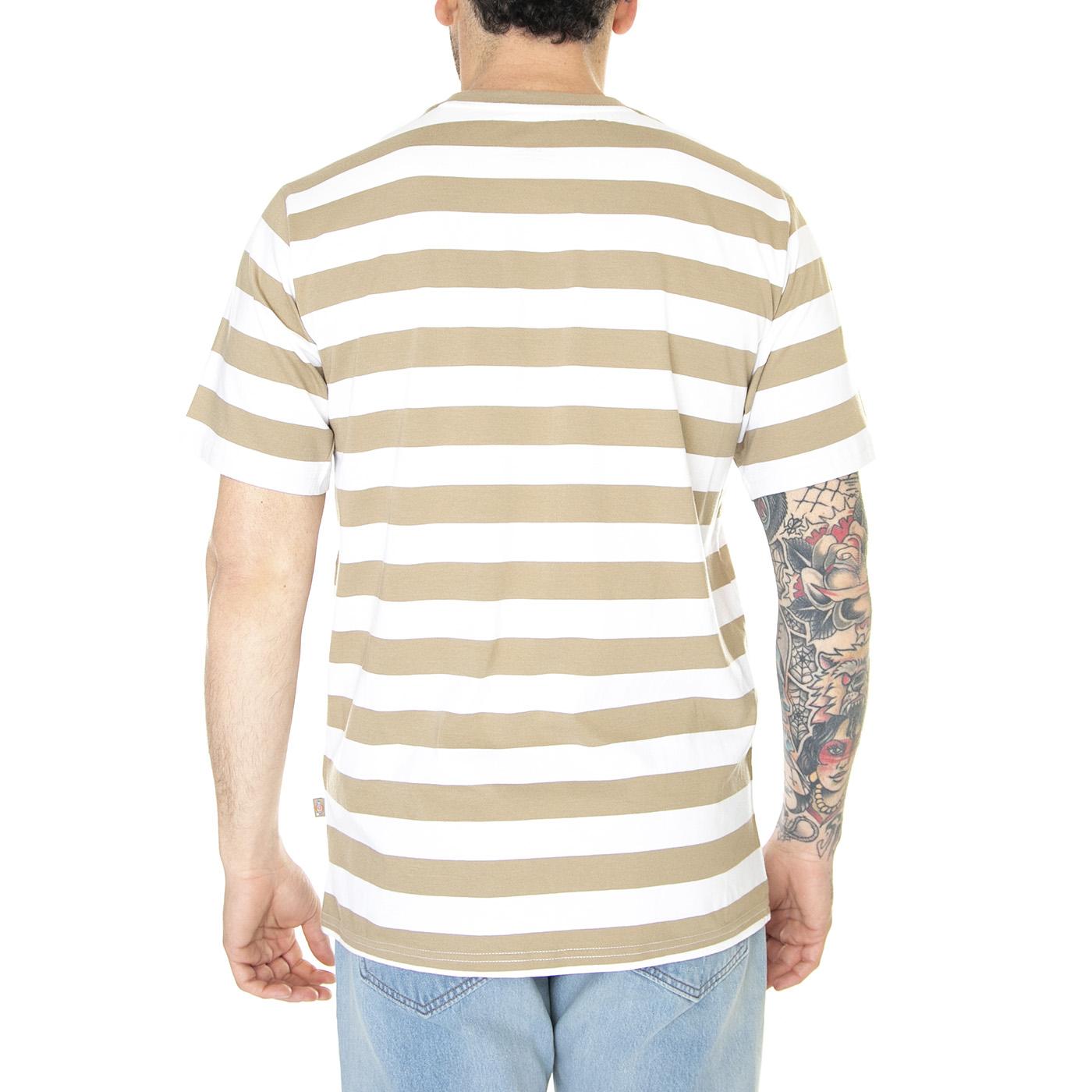 Rivergrove Khaki - Maglietta Girocollo Uomo Multicolore DK0A4Y8YKHK1  DICKIES 