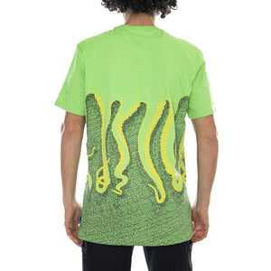  19SOTS04-LIME-KIWI  OCTOPUS 