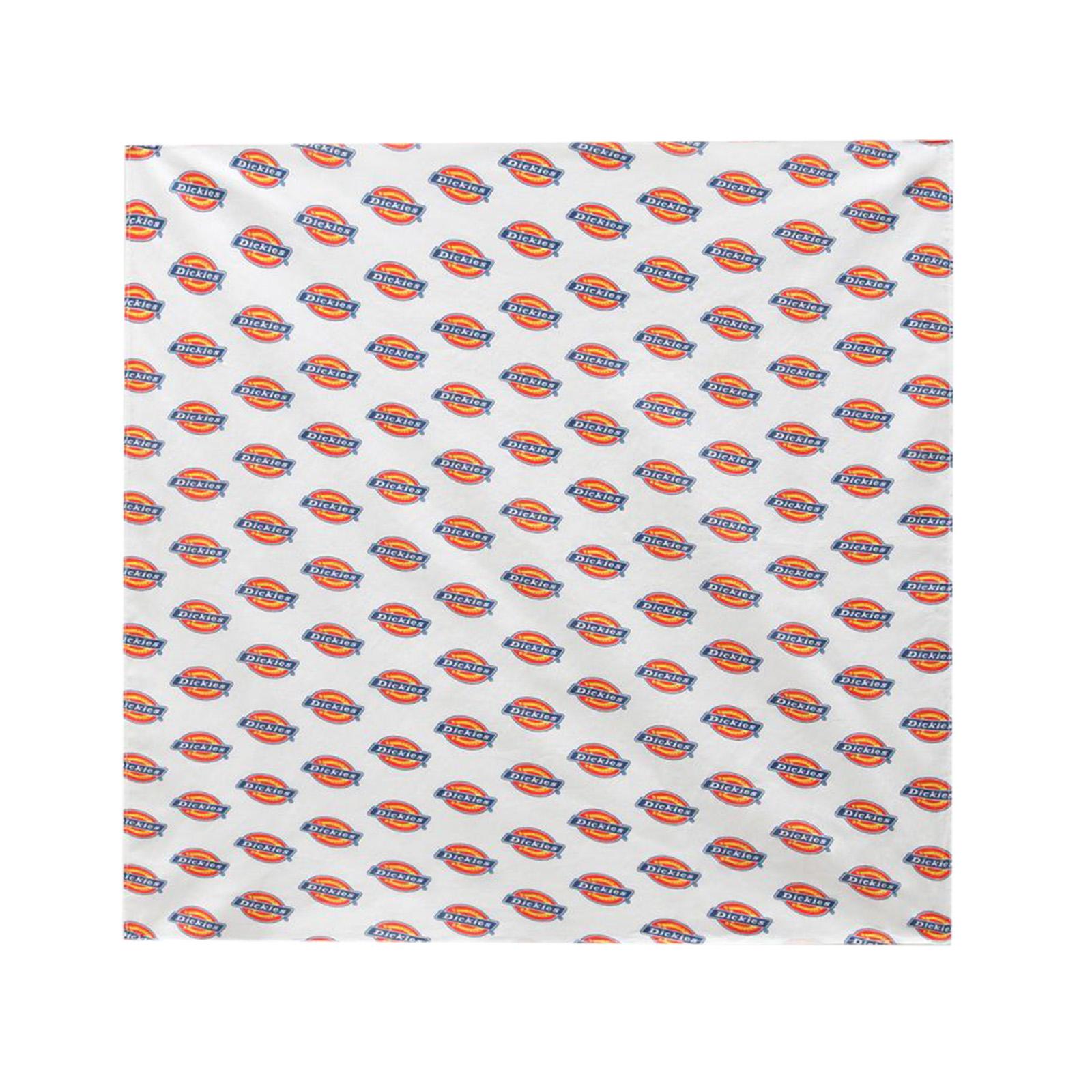  DK0A4XGFWHX1  DICKIES 