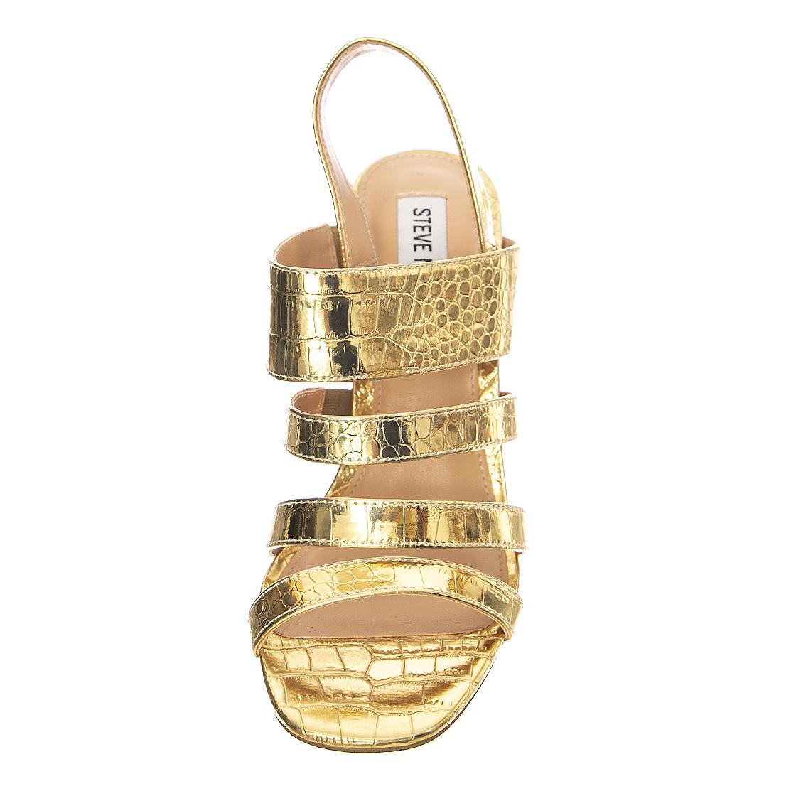  SMSPOP-GOL  STEVE MADDEN 