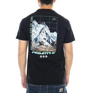  PRASS10649  PRIMITIVE 