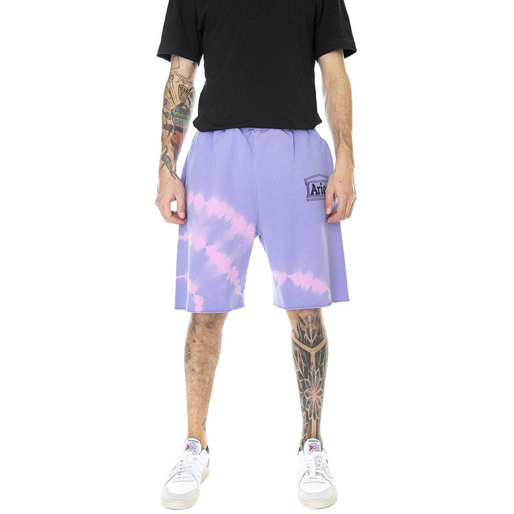  SRAR30202-LLC  ARIES 