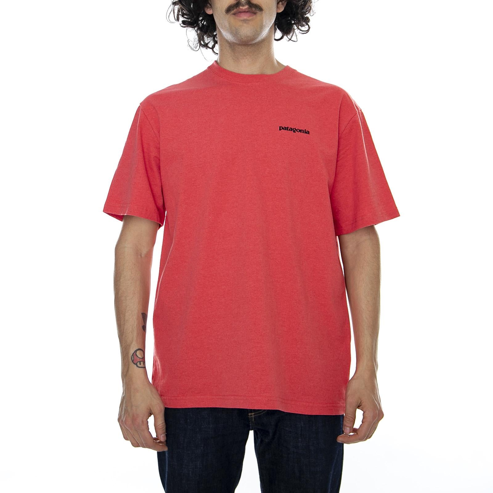  39174-TOMA  PATAGONIA 