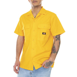  DK0A4X9ZB591  DICKIES 