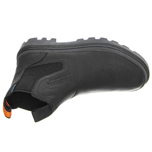  PAS77197-010-M  PALLADIUM 