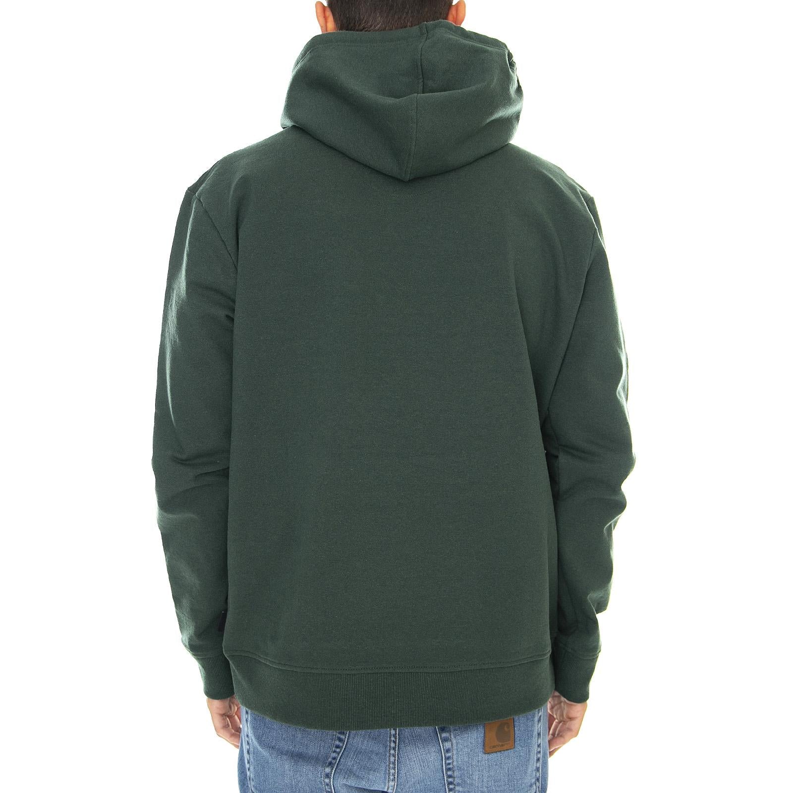  39539-ARGR  PATAGONIA 