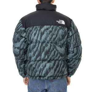  NF0A5IX429L1  THE NORTH FACE 
