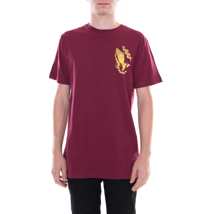  SCA-TEE-262  SANTA CRUZ 