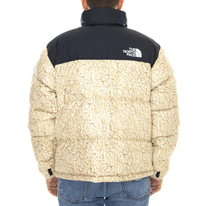  T93C8DF3X  THE NORTH FACE 