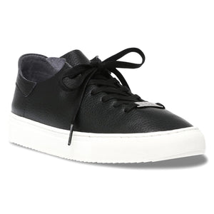 Dorey-Sm Black - Scarpe Stringate Profilo Basso Donna Nere SMPDOREY-SM-BLA  STEVE MADDEN 