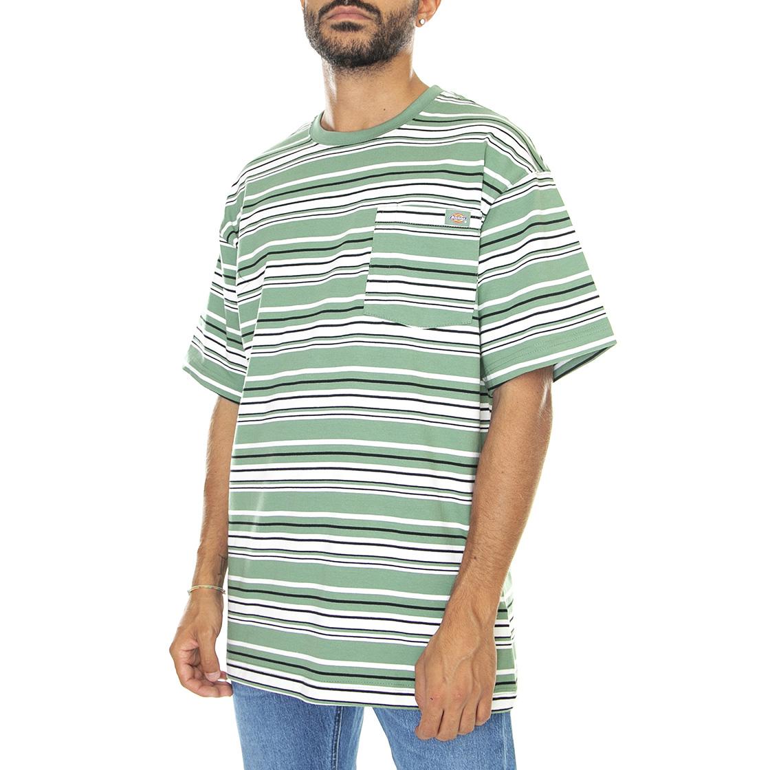 Westover Stripe Tee Dark Ivy - Maglietta Girocollo Uomo Verde / Multicolore DK0A4Y1PC971  DICKIES 