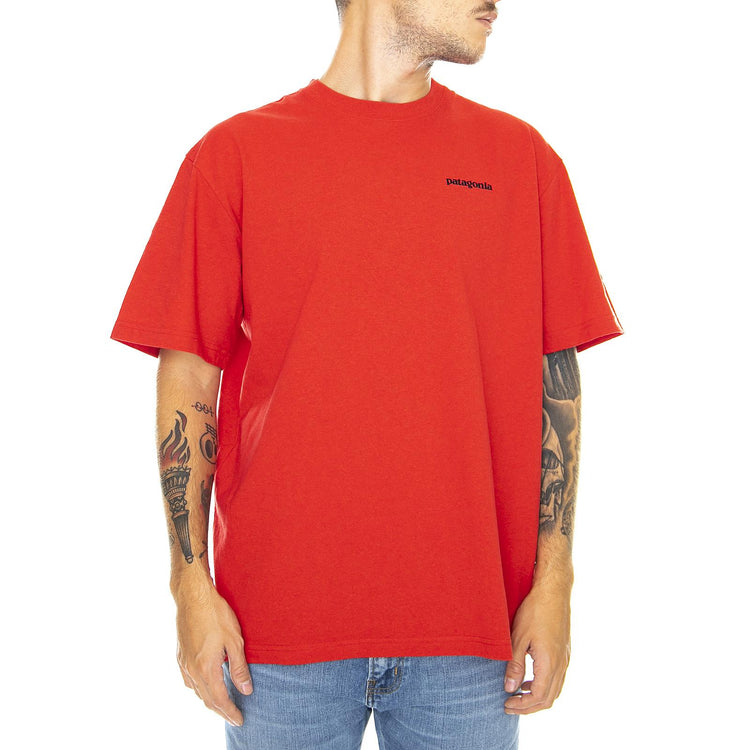  39174-FRE  PATAGONIA 