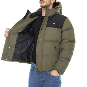  DK0A4XP1MGR1  DICKIES 