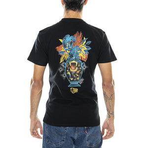  ACET-BLK  SANTA CRUZ 