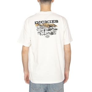 Landscape SS Tee Egret - Maglietta Girocollo Uomo Bianca DK0A4Z8VC481  DICKIES 