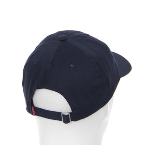 BIG BATWING FLEX FIT CAP 119550_7  LEVIS 