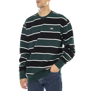  DK0A4XFNB851  DICKIES 