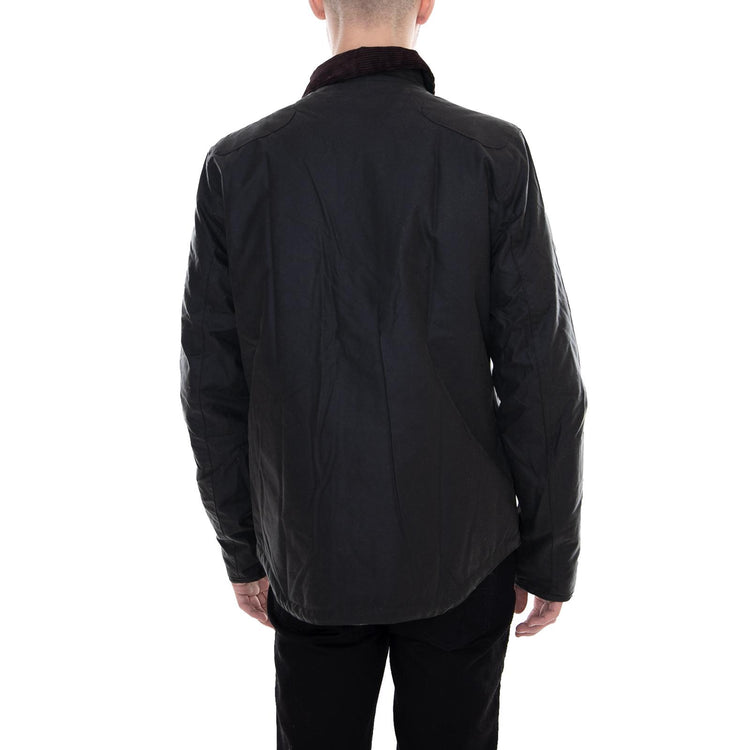  BACPS1559-SG51-VERDE  BARBOUR 