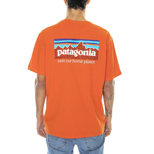  37529-MEOR  PATAGONIA 