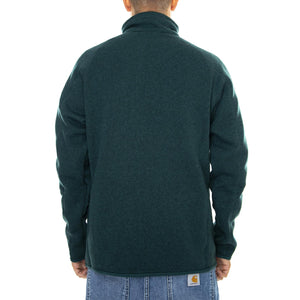  25528-PIGR  PATAGONIA 